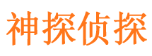 东乡族侦探公司